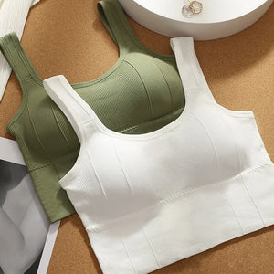 Top de Fitness Sem Costura para Mulheres, Sutiã de Yoga à Prova de Choque, Top de Sutiã Esportivo Push Up, Top de Treino para Academia