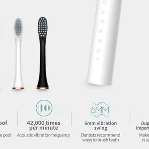 Sonic Electric Toothbrush for Adults IPX7 Waterproof DuPont Brush Head USB Rechargeable High Frequency Cleaning 6 Cleaning Modes