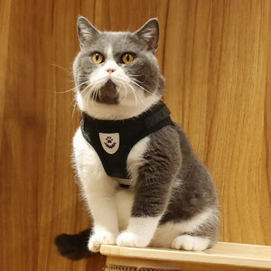 Conjunto de Coleira e Guia para Gato Ajustável Refletiva à Prova de Fuga Colete de Malha para Animais de Estimação Coleira para Filhote de Cachorro Pequeno Gato Suprimentos para Animais de Estimação