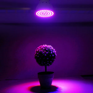 Led Grow Bulb 220V E27 60 80LEDs Full Spectrum LED Plant Greenhouse Hydroponic Growth Light Indoor Plant Phyto Flower Lamp