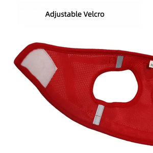 Conjunto de Coleira e Guia para Gato Ajustável Refletiva à Prova de Fuga Colete de Malha para Animais de Estimação Coleira para Filhote de Cachorro Pequeno Gato Suprimentos para Animais de Estimação