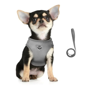 Conjunto de Coleira e Guia para Gato Ajustável Refletiva à Prova de Fuga Colete de Malha para Animais de Estimação Coleira para Filhote de Cachorro Pequeno Gato Suprimentos para Animais de Estimação
