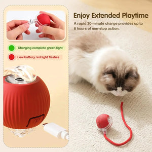 Novo Brinquedo Interativo para Gato, Bola de Gato Automática e Recarregável, Brinquedo Interativo Inteligente para Gatinhos, Brinquedo Inteligente em Forma de Bola para Gato