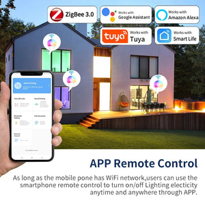 Tuya Smart Led Light Bulb Wifi Zigbee Bluetooth E27 Smart Life Alexa Google Assistant Alice Smartthings RGB 220V 110V Ampoules