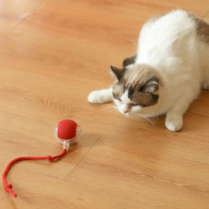 Novo Brinquedo Interativo para Gato, Bola de Gato Automática e Recarregável, Brinquedo Interativo Inteligente para Gatinhos, Brinquedo Inteligente em Forma de Bola para Gato