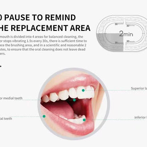 Escova de Dentes Elétrica Sônica para Adultos IPX7 à Prova d'Água Cabeça de Escova DuPont Recarregável via USB Limpeza de Alta Frequência 6 Modos de Limpeza