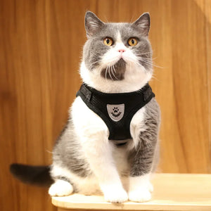 Conjunto de Coleira e Guia para Gato Ajustável Refletiva à Prova de Fuga Colete de Malha para Animais de Estimação Coleira para Filhote de Cachorro Pequeno Gato Suprimentos para Animais de Estimação