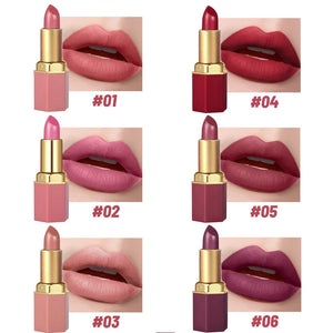 Batom em Tubo Dourado com 6 Cores, Textura Matte, Brilho Perolado, Batom de Veludo para o Dia dos Namorados, 6PCS