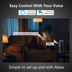 Tuya Smart Led Light Bulb Wifi Zigbee Bluetooth E27 Smart Life Alexa Google Assistant Alice Smartthings RGB 220V 110V Ampoules