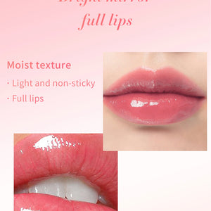 Conjunto de Óleo Labial Hidratante Jelly de Cristal Gloss Labial Volumizador Maquiagem Gloss Labial Sexy Óleo Iluminador Labial Tinta Volumizadora