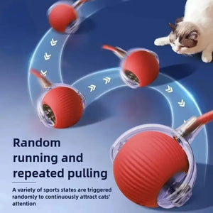 Novo Brinquedo Interativo para Gato, Bola de Gato Automática e Recarregável, Brinquedo Interativo Inteligente para Gatinhos, Brinquedo Inteligente em Forma de Bola para Gato