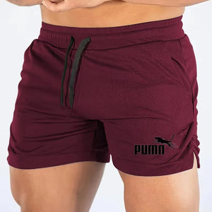 Calções de Secagem Rápida de Malha de Verão para Homens, Calções Casuais de Esporte para Homens, Calças de Praia Respirável para Homens, Adequados para Fitness e Corrida ao Ar Livre